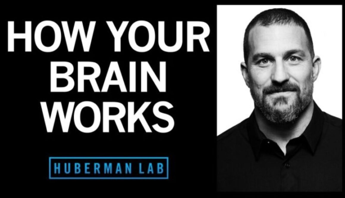 neuroscience podcast huberman lab