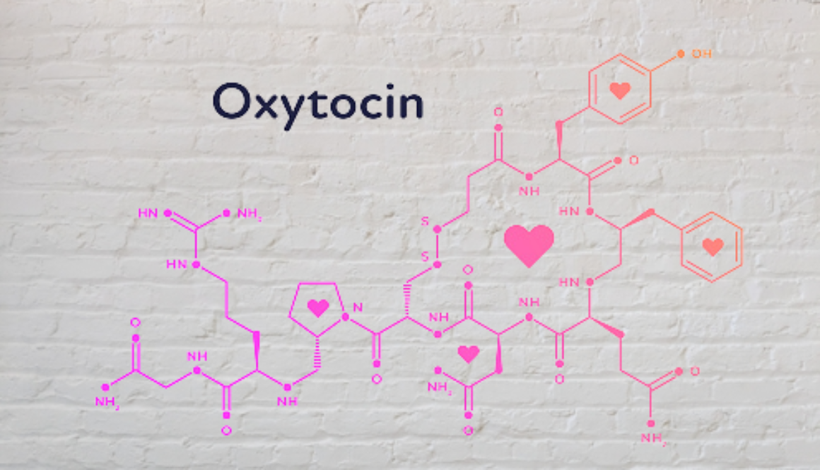 love hormone oxytocin