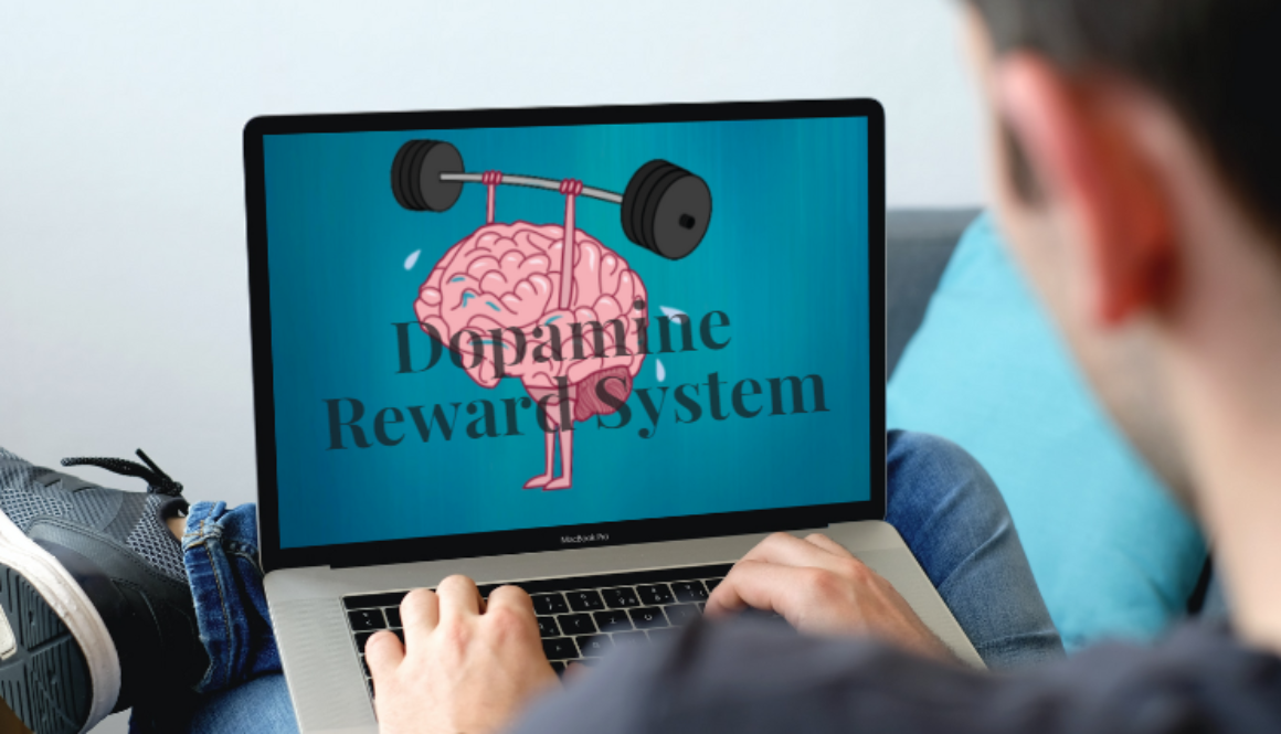 dopamine reward system