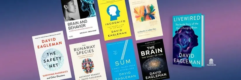 David Eagleman books